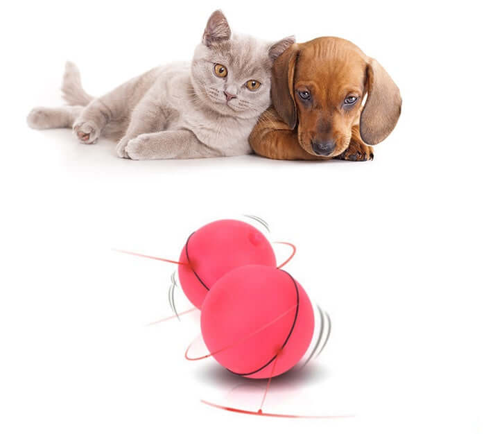 “Interactive LED light toy ball for cats and kittens”