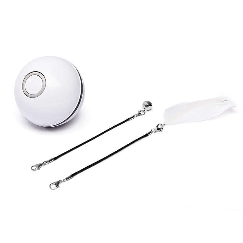 “LED light-up rolling ball toy for cats and small pets”