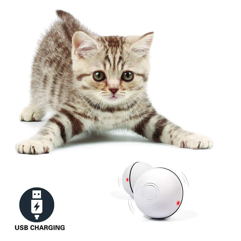 “LED laser cat toy ball – motion activated rolling play toy”