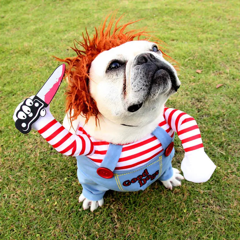 Pet Apparels